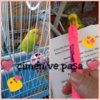 PhotoGrid_1467060848172.jpg