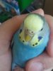 20160724_174223.jpg