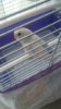 IMG-20160913-WA0003.jpg