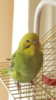20170419_162602.jpg