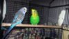 20170419_224125.jpg