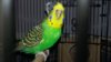 20170419_222739.jpg