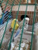 20170420_190103.jpg