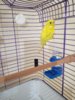IMG_20170423_105453.jpg