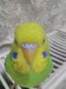 IMG_20170423_200650.jpg