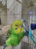 IMG_20170424_012213.jpg
