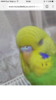 IMG_6778.PNG