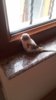 20170327_171546.jpg