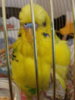 20170508_164734.jpg
