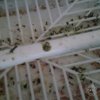 IMG_20170511_110902663.jpg