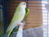 2017-05-11-19-48-27-557.jpg