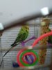 IMG_20170518_154900.jpg