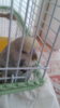 20170515_141301.jpg
