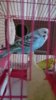 DSC_0405.JPG