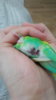 20170528_185652.jpg