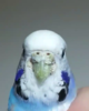 2017-06-01 02.43.15.png