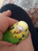 20170603_181544.jpg