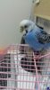 20170606_114042.jpg