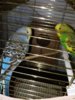 20170607_132723.jpg