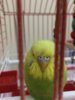 IMG_3930.JPG