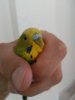 IMG_20170623_103503.jpg