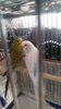 IMG-20170628-WA0003.jpg
