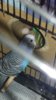 20170713_165146.jpg