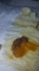 20170814_204852.jpg