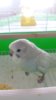 20170818_111917.jpg