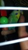 20170819_202622.jpg