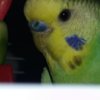 IMG_20170819_202416_838.jpg