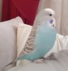 20170902_090446.jpg