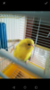 Screenshot_20170913-163307.png