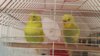 20170917_095420.jpg