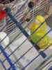 20170919_185311.jpg