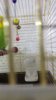 IMG-20170919-WA0000.jpg
