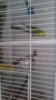 IMG-20170906-WA0003.jpeg