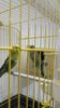 IMG-20171020-WA0003.jpg