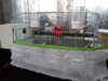 IMG_20171109_081038.jpg