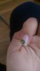IMAG0126.jpg