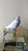 IMG_20171201_140656.jpg