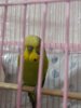 20171209_173754.jpg