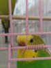20171209_173748.jpg