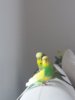 20171201_162526.jpg