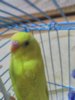 IMG-20171205-WA0004.jpg
