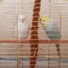 IMG_20171001_013741_806.jpg
