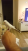 Screenshot_2017-12-13-11-57-35.png