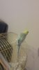 20170802_225317.jpg