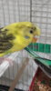 20171218_202333.jpg