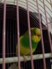 20171222_195550.jpg